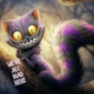 Meet your Posher, Hal